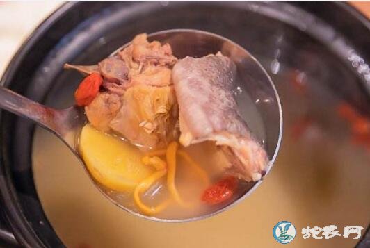 蛇肉与草莓可以吃吗?吃蛇肉后可以喝茶吗?