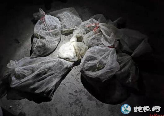 养蛇人切勿涉足野生蛇类!柳林民警挡获可疑面包车有254条蛇!