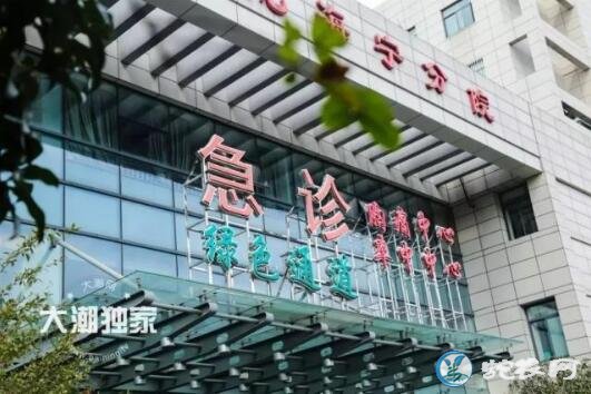 蛇出没频繁的时候到了!短短半个月6人身中剧毒!