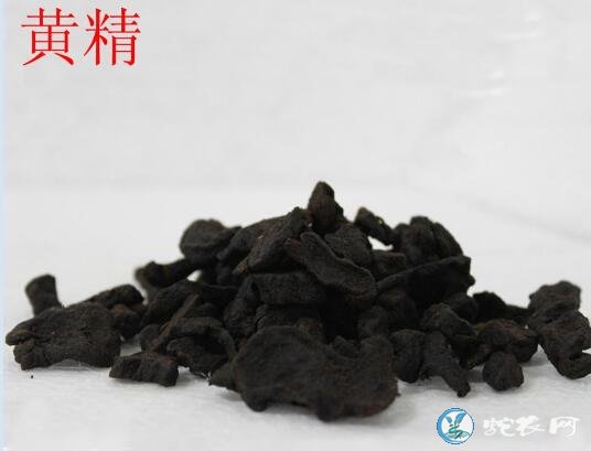 黄精图片