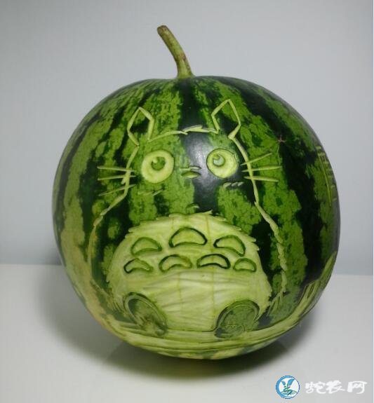 西瓜图片