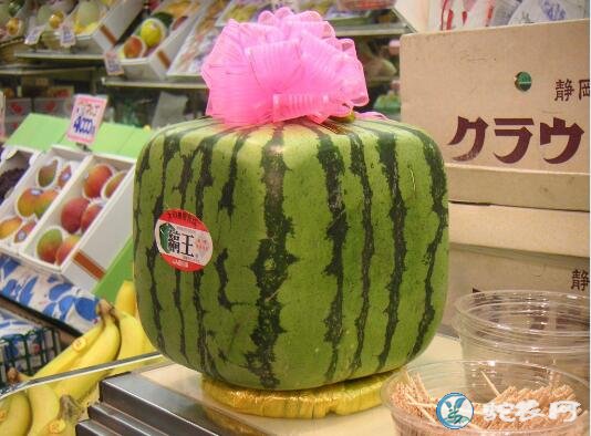 方形西瓜