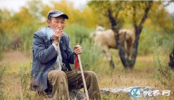 农村俗语:“有福之人两腿毛,无福之人毛两腿”什么意思?