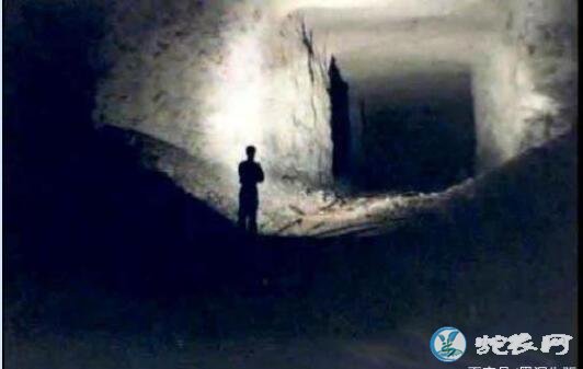 美国“道西事件”揭秘:道西事件完整视频