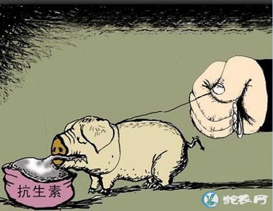 农业农村部整改兽药添加剂