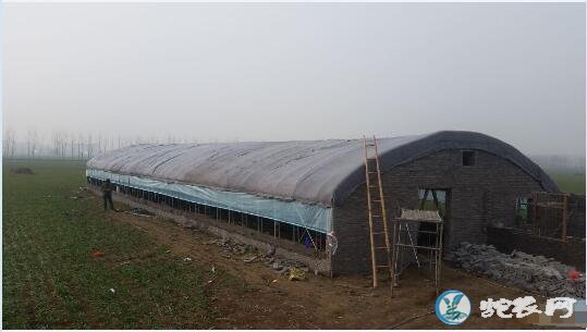 养牛大棚怎么建造图