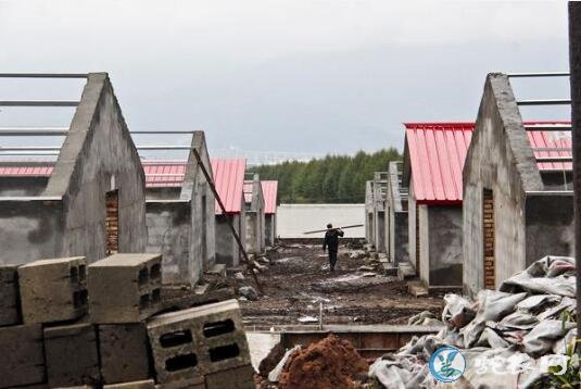 养牛大棚怎么建造图