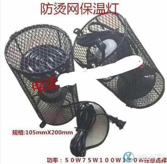 “冬病夏治”!提前对无冬眠养蛇加温设备敲敲警钟!