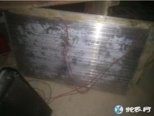 “冬病夏治”!提前对无冬眠养蛇加温设备敲敲警钟!