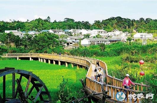 中央一号文件:推进农业农村发展重在“优先”!