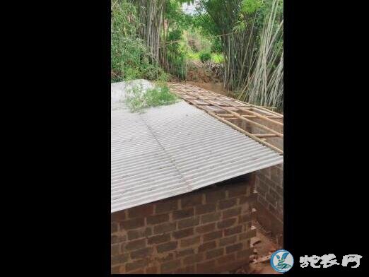 第一次养500条蛇要多少钱?