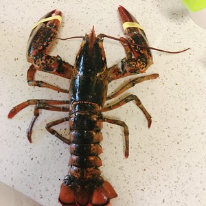 大龙虾介绍、大龙虾怎么做好吃