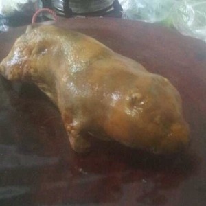 竹鼠好吃吗