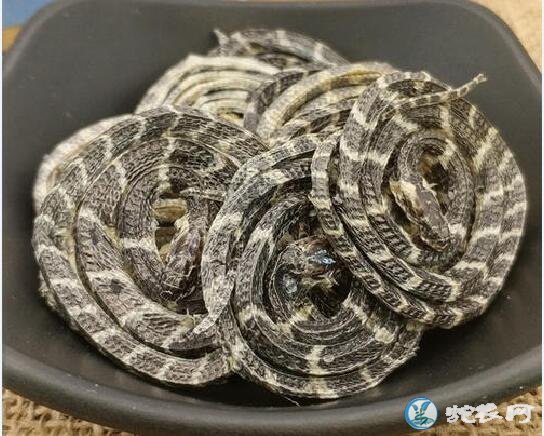金钱白花蛇中药