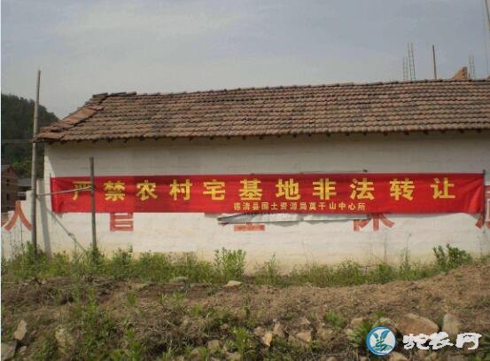 宅基地立法列入农村工作重点!