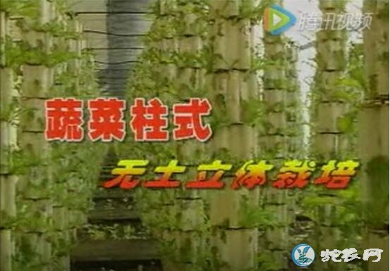 无土种植