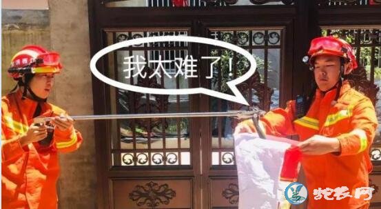 8月抚州剧毒频繁出没!有的霸占庭院不走!