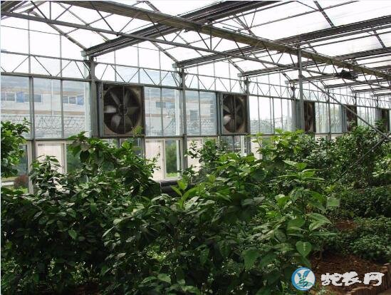 新型大棚骨架