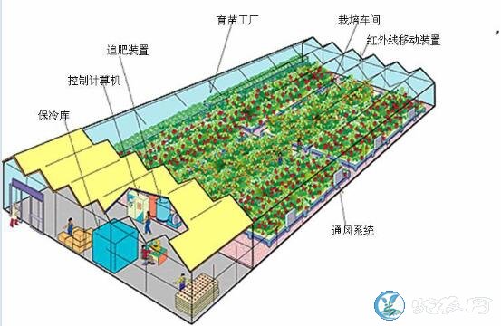 温室大棚