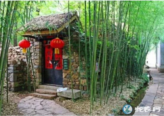 农村俗语“门前不栽竹,房后不栽树”是什么意思?