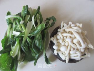 小白菜
