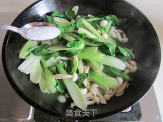 小白菜