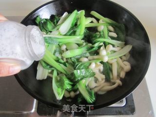 小白菜