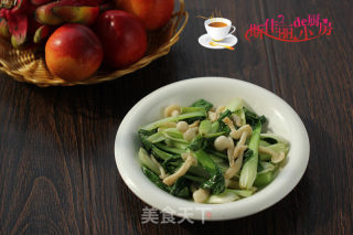 小白菜