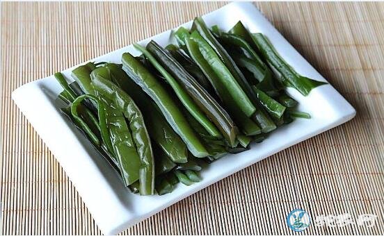 海白菜