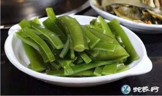 海白菜