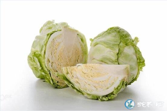 甘蓝菜、甘蓝菜的功效与作用