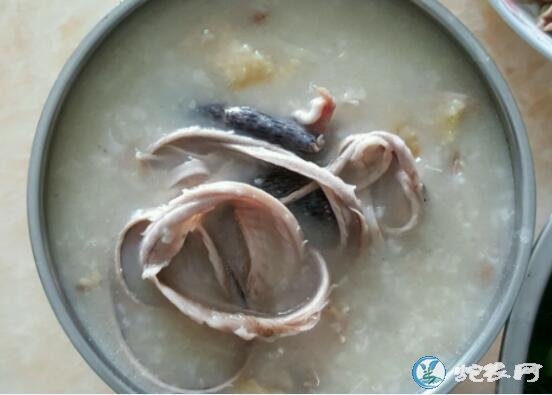 海蛇粥、海蛇煲粥怎么煲?