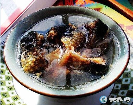 海蛇粥、海蛇煲粥怎么煲?