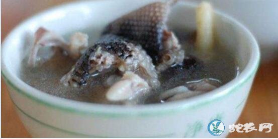 海蛇粥、海蛇煲粥怎么煲?