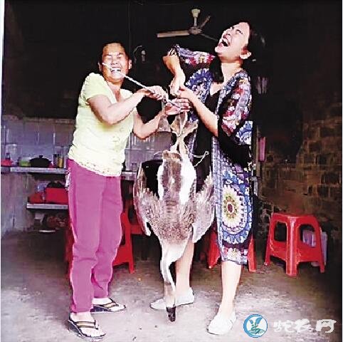 海南85后姑娘邹俊桃-打造农产品品牌“土货”变抢手货!