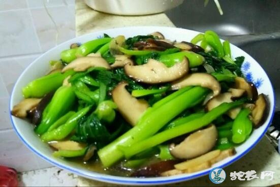 小青菜
