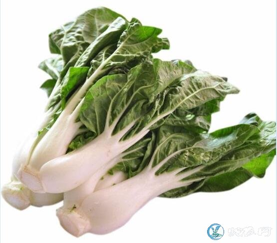 青菜大全