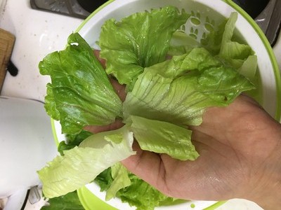 凉拌生菜