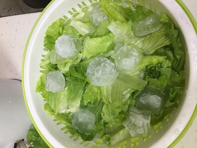 凉拌生菜