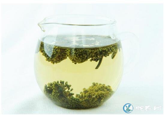 三七花、三七花泡水喝的功效与作用?