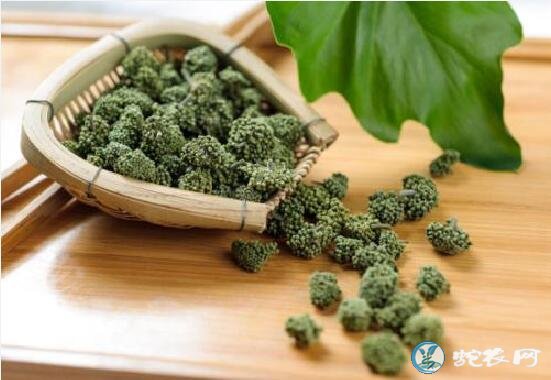 三七花、三七花泡水喝的功效与作用?