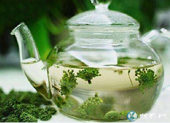 三七花、三七花泡水喝的功效与作用?