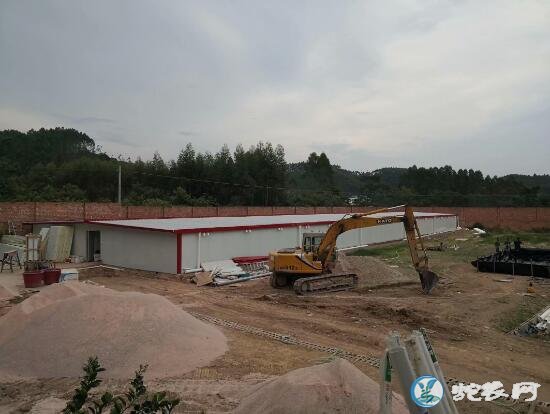 广西雷村蛇场那马加盟基地第一期1万条标准蛇房建成