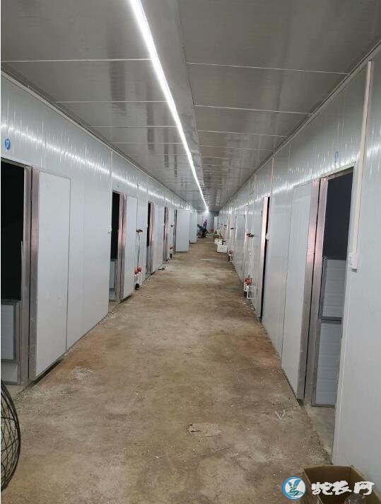 广西雷村蛇场那马加盟基地第一期1万条标准蛇房建成