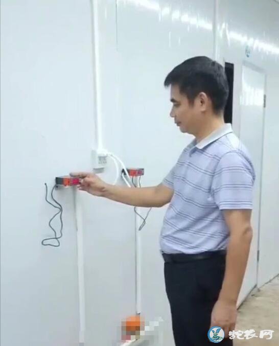 广西雷村蛇场那马加盟基地第一期1万条标准蛇房建成