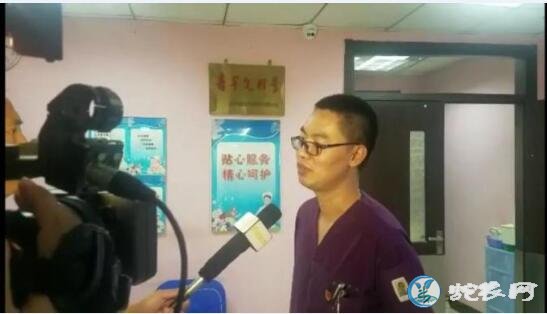 沈阳14岁男孩被自己养的毒蛇咬伤!中国十大毒蛇之一的竹叶青蛇!