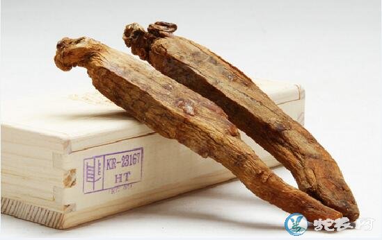 高丽参