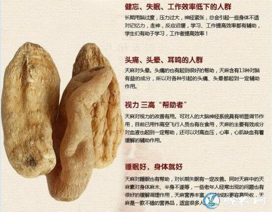 天麻的功效