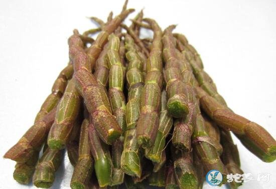 铁皮石斛价格