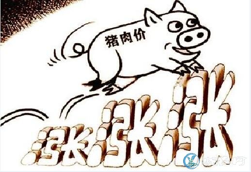 农业农村部回应关于猪肉价格持续上涨问题！